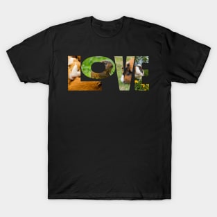 Guinea Pig LOVE T-Shirt